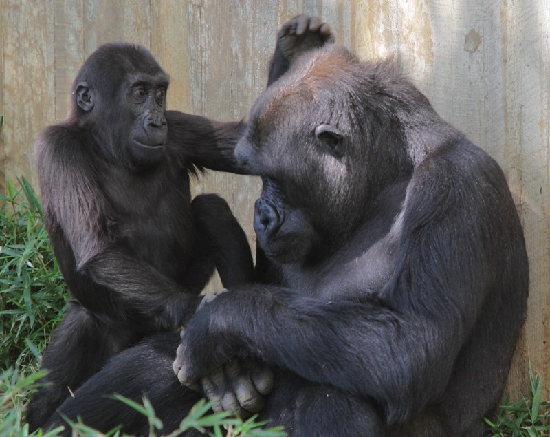 Brotherly Love