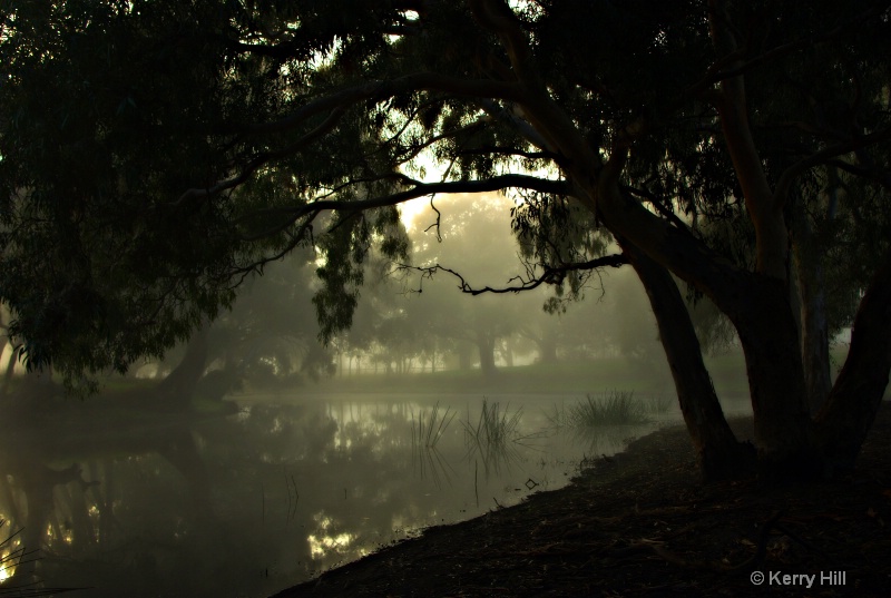 Misty morning