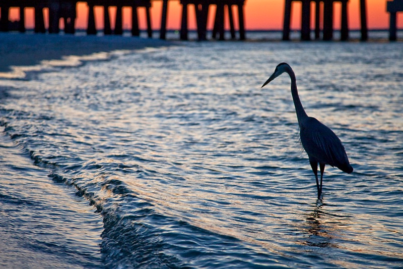 Twilight Stroll