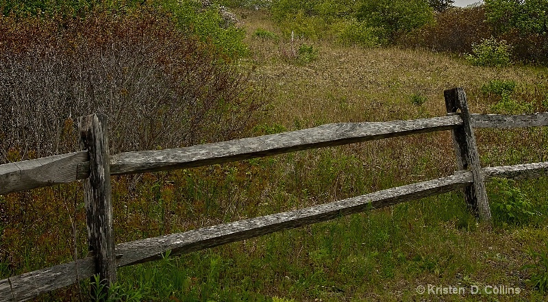 The Old Fence