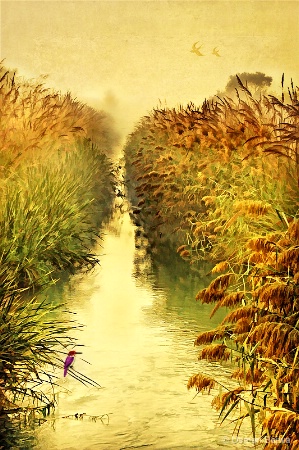 Dream World - II