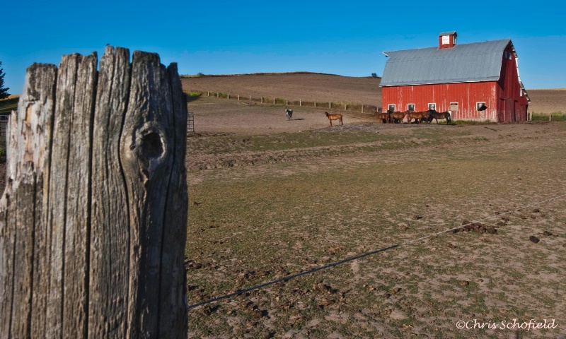 red barn and pasture