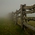 © John Singleton PhotoID # 12117142: Beyond the Fence?