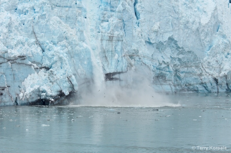 glacier calving - ID: 12117906 © Terry Korpela