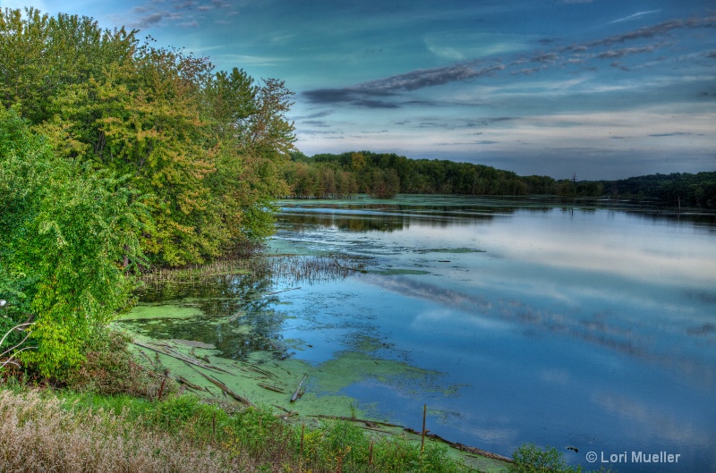 Tranquil pond - HDR