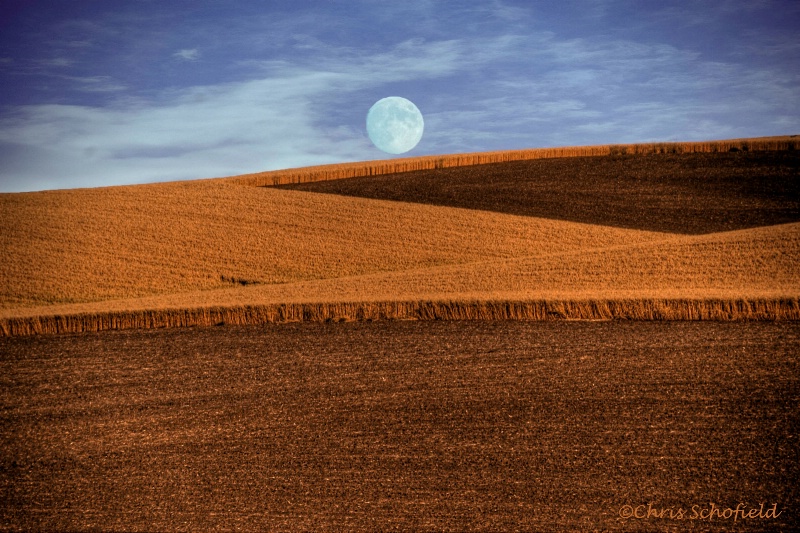 early moon rise over the harvest