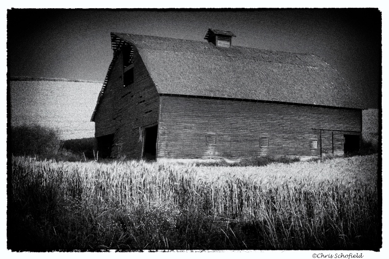old red barn 2 film noir