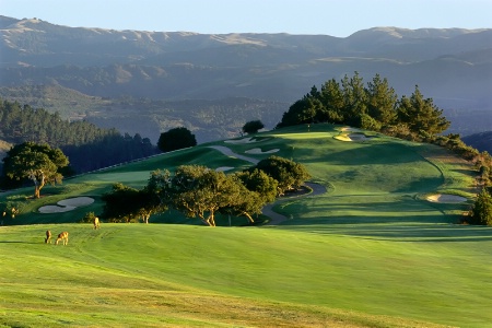 Fourth Green, Tehama Golf Course