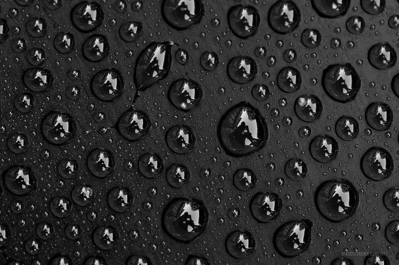 Black Pearl Droplets