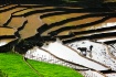 Farming