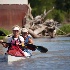 © Cindy J. Hiles PhotoID # 12153756: img 1713.gif