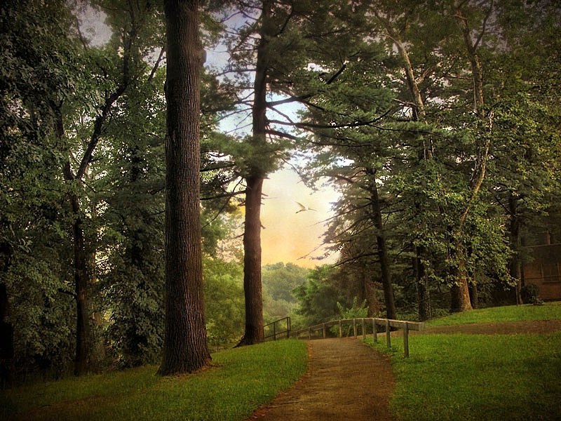 Path at Dusk