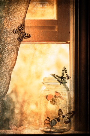 Butterfly Jar