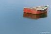 Calm