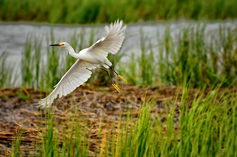 Soaring