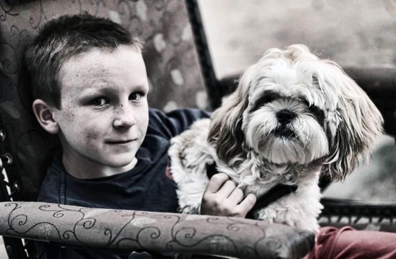 a boy and his dog final