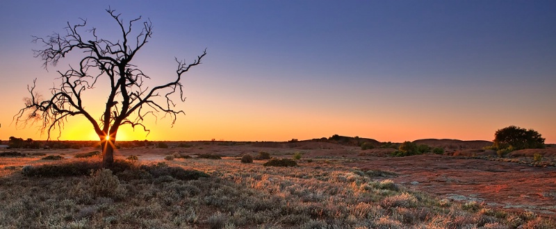 The Nullarbor