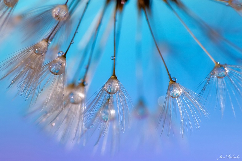 Hanging On