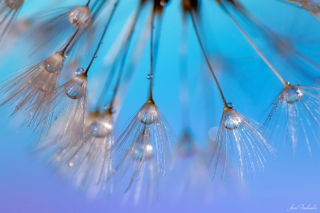 Hanging On