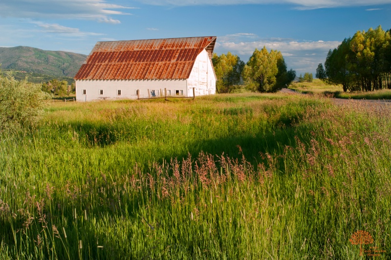 Colorado Barn Near Steamboat