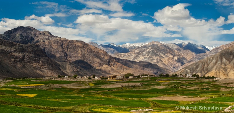 Ladakh-4/2011