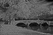 Burnside Bridge A...