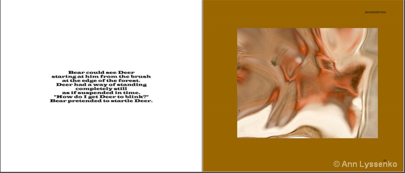 #10 Shapeshifting Book - ID: 12191985 © Ann Lyssenko