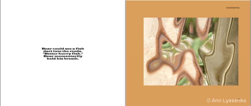 #7 Shapeshifting Book - ID: 12192019 © Ann Lyssenko