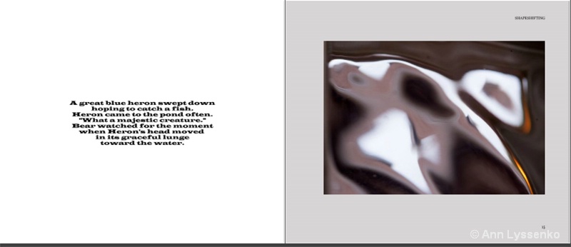 #6 Shapeshifting Book - ID: 12192020 © Ann Lyssenko