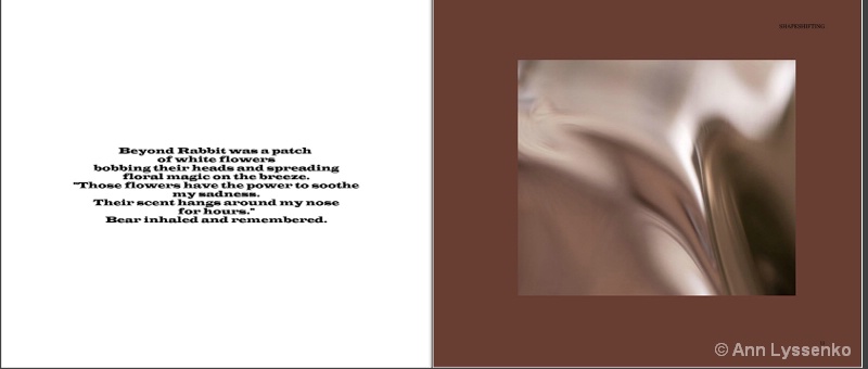 #4 Shapeshifting Book - ID: 12192022 © Ann Lyssenko
