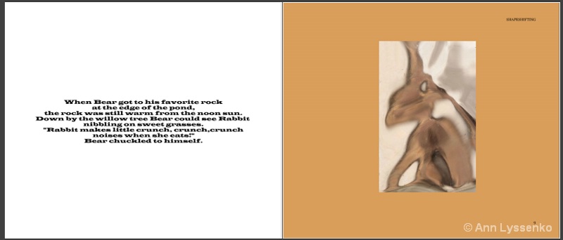#3 Shapeshifting Book - ID: 12192026 © Ann Lyssenko