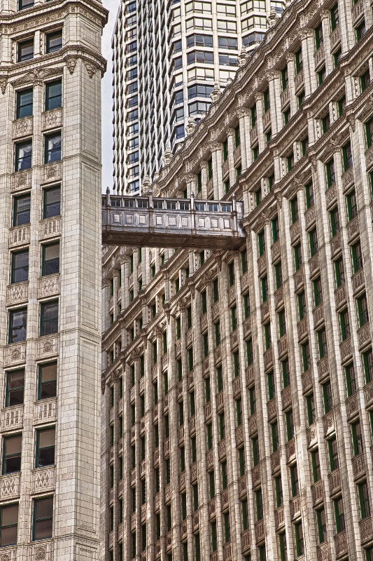 Wrigley Building Details