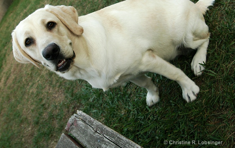 What?  You Said 'Lets Picnic...'