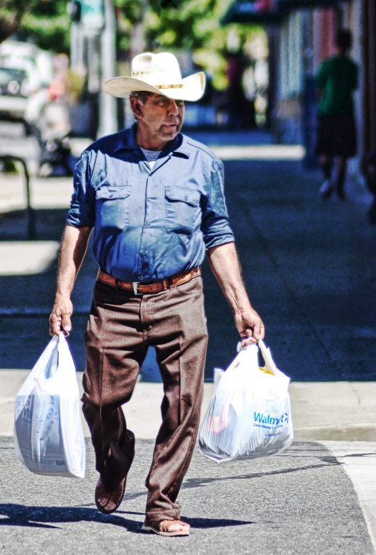 Walmart Shopper