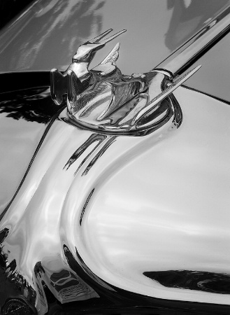 Gazelle Hood Ornament on 1930 Chrysler