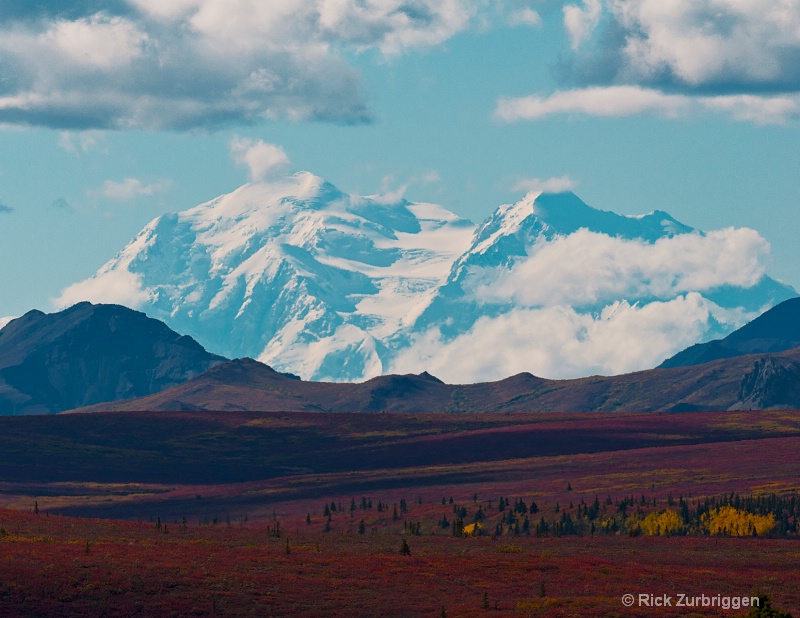Mt McKinley - ID: 12202362 © Rick Zurbriggen