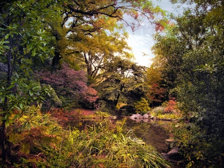 The Rock Garden