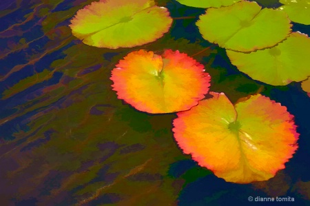 water lilly leaves simplify