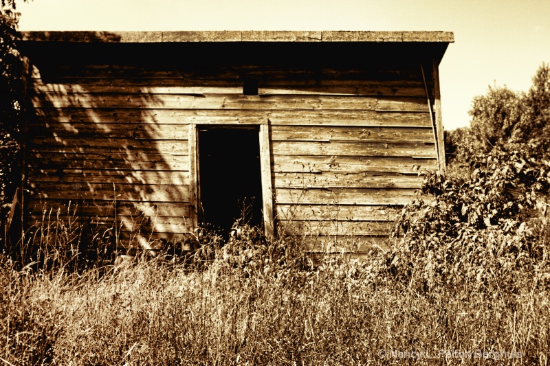 Old Hen House
