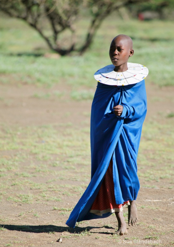 Young Girl, Masai Village, Tanzania - ID: 12214898 © Sue P. Stendebach