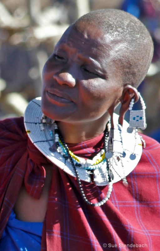 Watching Intently, Masai Village, Tanzania - ID: 12214899 © Sue P. Stendebach
