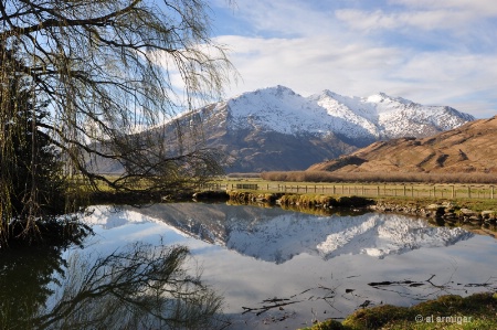 Mt Aspiring National Park New Zealand