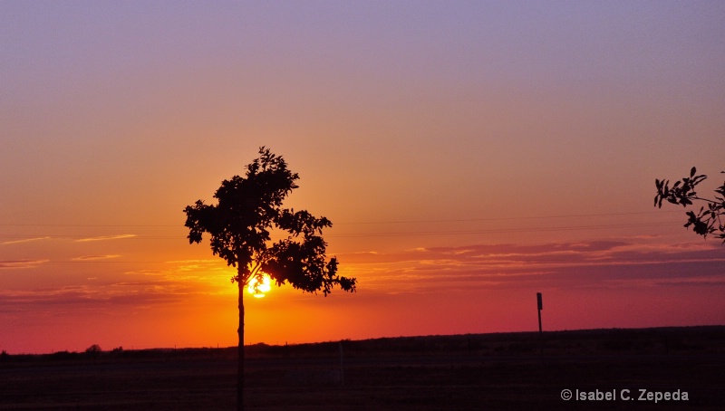 Texas sunset