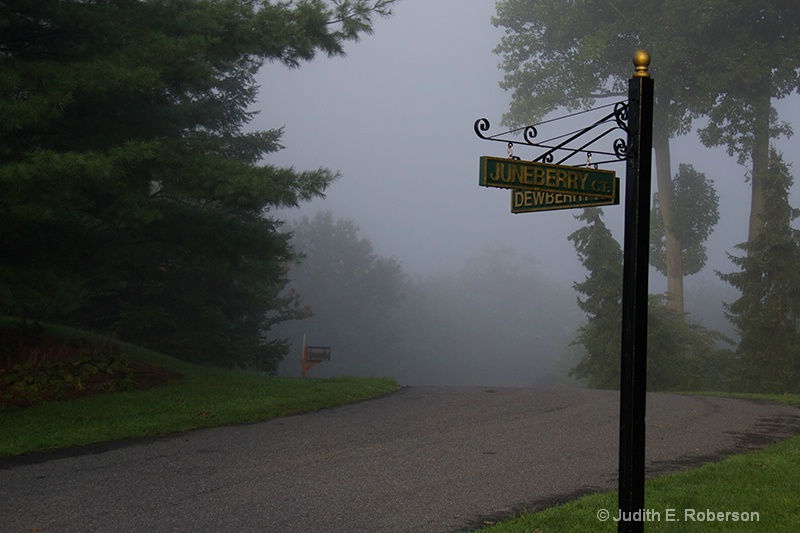 fog-street scene