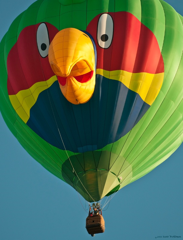 Colorado Springs Balloon Classsic 2011 