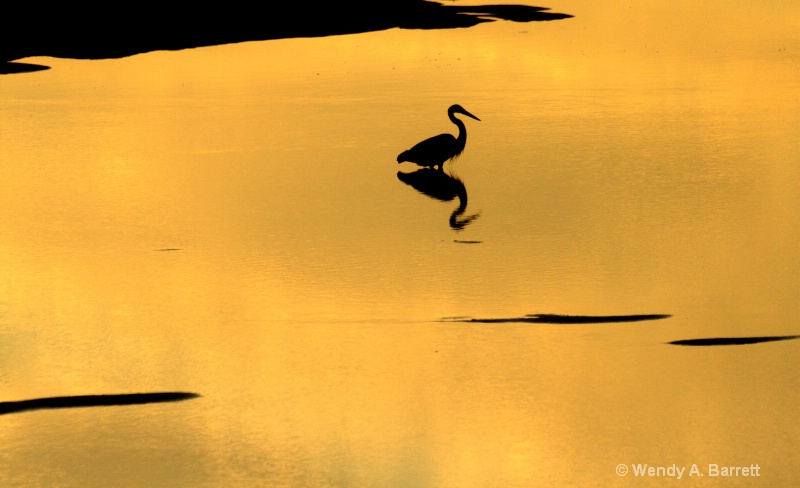 Sunrise at Goosefare Brook - ID: 12220635 © Wendy A. Barrett