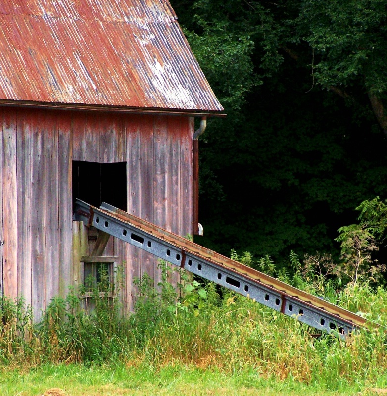 waiting on hay