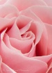 Softness of your ...