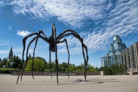 Giant Spider