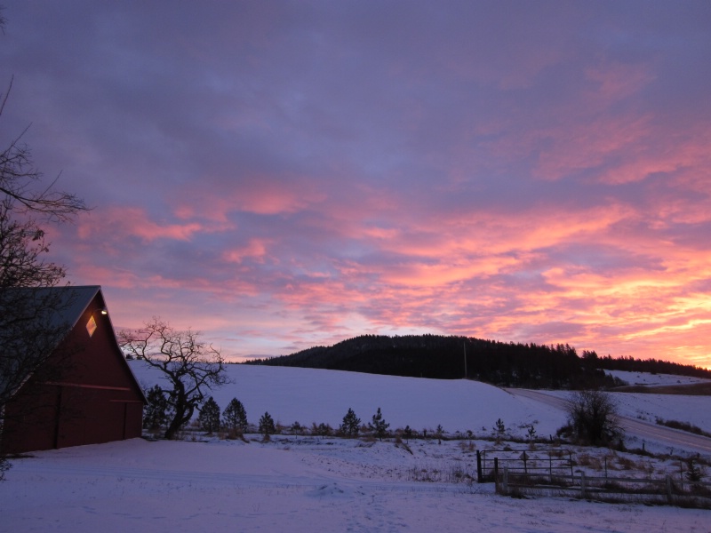 Winter Sunrise Barn